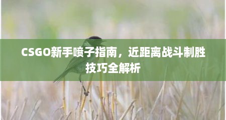 CSGO新手喷子指南，近距离战斗制胜技巧全解析