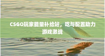 CSGO玩家能量补给站，吃与配置助力游戏激战