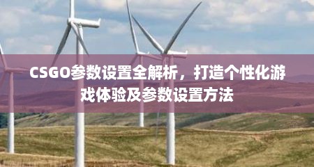 CSGO参数设置全解析，打造个性化游戏体验及参数设置方法
