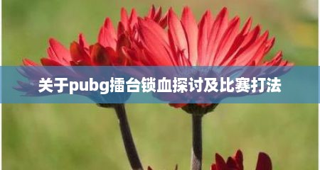 关于pubg擂台锁血探讨及比赛打法