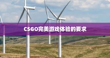 CSGO完美游戏体验的要求