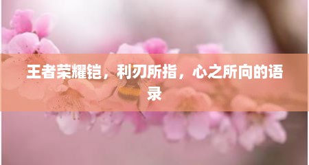 王者荣耀铠，利刃所指，心之所向的语录