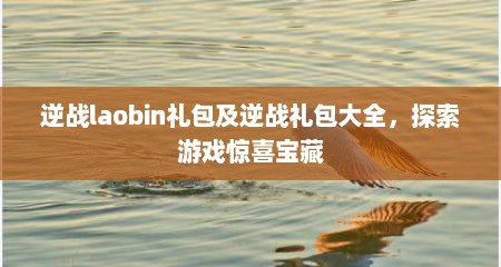 逆战laobin礼包及逆战礼包大全，探索游戏惊喜宝藏