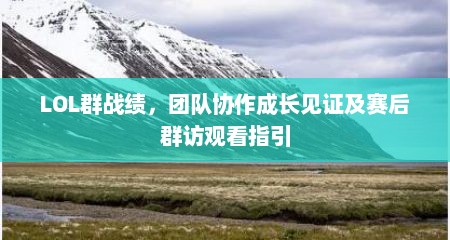 LOL群战绩，团队协作成长见证及赛后群访观看指引