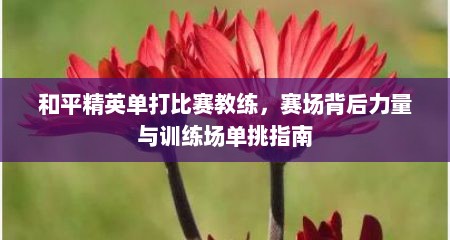 和平精英单打比赛教练，赛场背后力量与训练场单挑指南