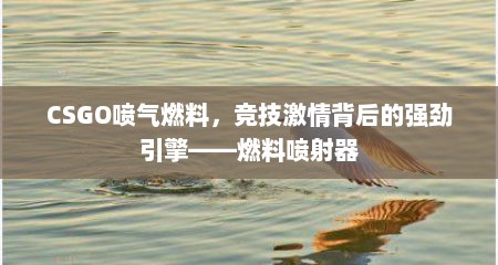 CSGO喷气燃料，竞技激情背后的强劲引擎——燃料喷射器