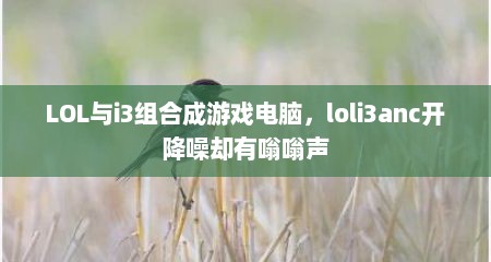 LOL与i3组合成游戏电脑，loli3anc开降噪却有嗡嗡声