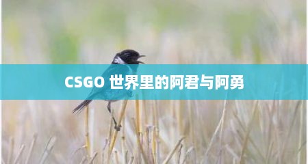 CSGO 世界里的阿君与阿勇