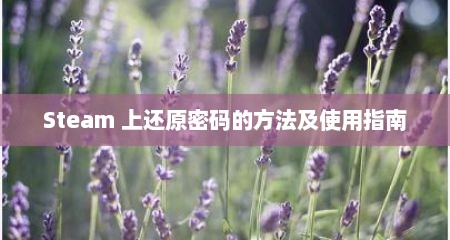 Steam 上还原密码的方法及使用指南