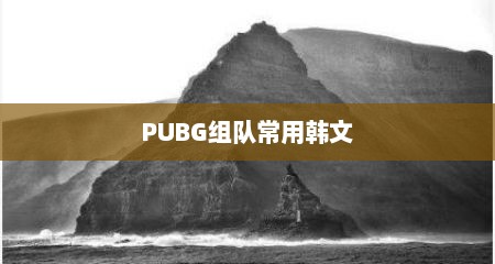 PUBG组队常用韩文