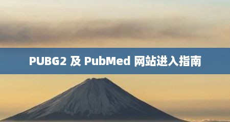 PUBG2 及 PubMed 网站进入指南