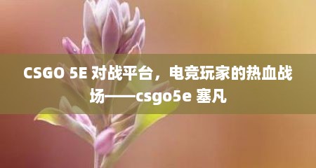 CSGO 5E 对战平台，电竞玩家的热血战场——csgo5e 塞凡