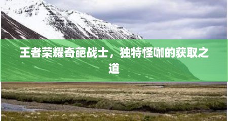 王者荣耀奇葩战士，独特怪咖的获取之道