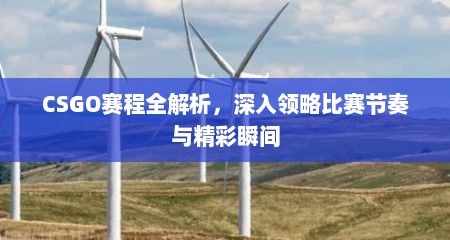 CSGO赛程全解析，深入领略比赛节奏与精彩瞬间