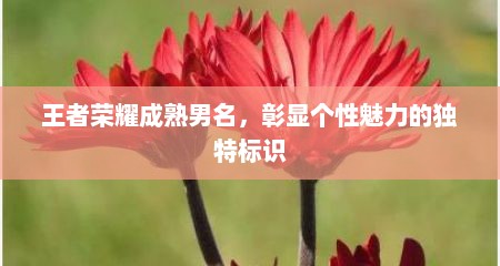 王者荣耀成熟男名，彰显个性魅力的独特标识