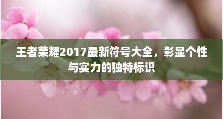 王者荣耀2017最新符号大全，彰显个性与实力的独特标识