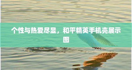 个性与热爱尽显，和平精英手机壳展示图
