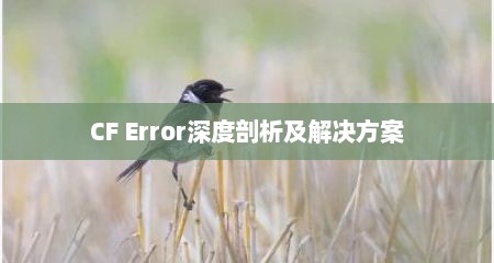 详细阅读:CF Error深度剖析及解决方案 CF Error深度剖析及解决方案