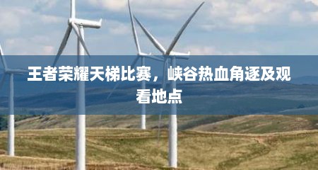 王者荣耀天梯比赛，峡谷热血角逐及观看地点