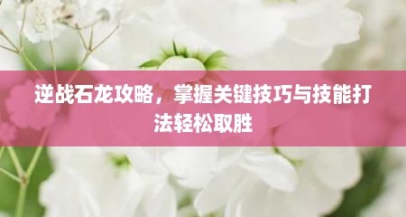 逆战石龙攻略，掌握关键技巧与技能打法轻松取胜
