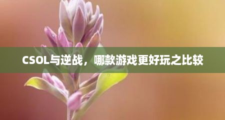 CSOL与逆战，哪款游戏更好玩之比较