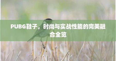 PUBG鞋子，时尚与实战性能的完美融合全览