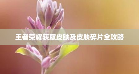 王者荣耀获取皮肤及皮肤碎片全攻略
