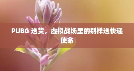 PUBG 送货，虚拟战场里的别样送快递使命
