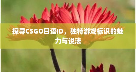 探寻CSGO日语ID，独特游戏标识的魅力与说法