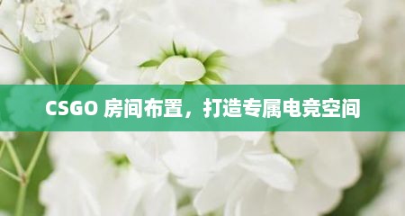 CSGO 房间布置，打造专属电竞空间