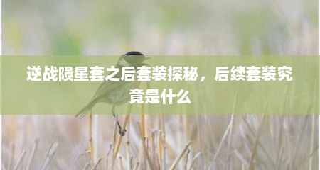 逆战陨星套之后套装探秘，后续套装究竟是什么