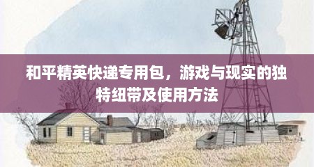 和平精英快递专用包,游戏与现实的独特纽带及使用方法