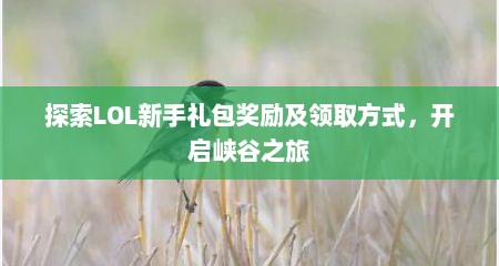 探索LOL新手礼包奖励及领取方式，开启峡谷之旅