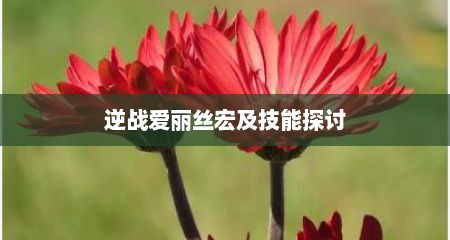 逆战爱丽丝宏及技能探讨