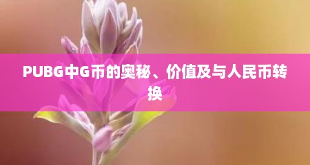 PUBG中G币的奥秘、价值及与人民币转换