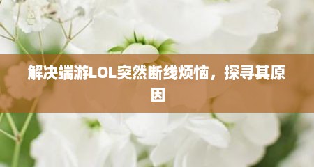 解决端游LOL突然断线烦恼，探寻其原因