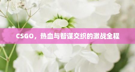 CSGO，热血与智谋交织的激战全程