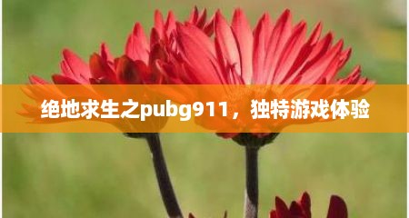 绝地求生之pubg911，独特游戏体验