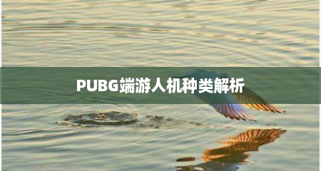 PUBG端游人机种类解析