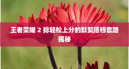 王者荣耀 2 排轻松上分的默契搭档套路揭秘