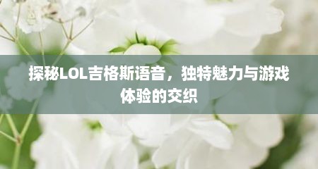 探秘LOL吉格斯语音，独特魅力与游戏体验的交织