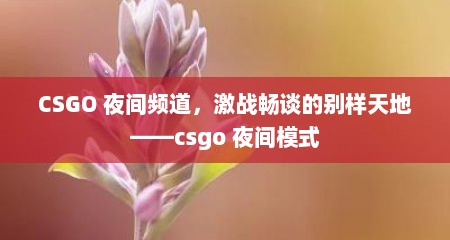 CSGO 夜间频道，激战畅谈的别样天地——csgo 夜间模式