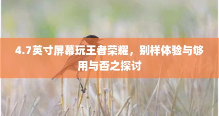 4.7英寸屏幕玩王者荣耀,别样体验与够用与否之探讨