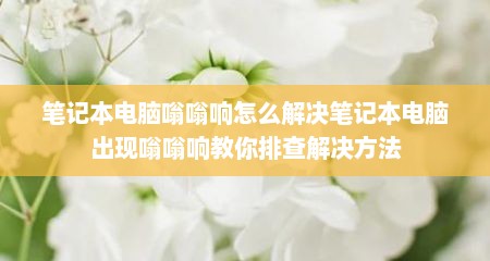 笔记本电脑嗡嗡响怎么解决笔记本电脑出现嗡嗡响教你排查解决方法