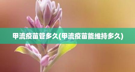 甲流疫苗管多久(甲流疫苗能维持多久)