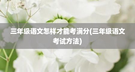 三年级语文怎样才能考满分(三年级语文考试方法)