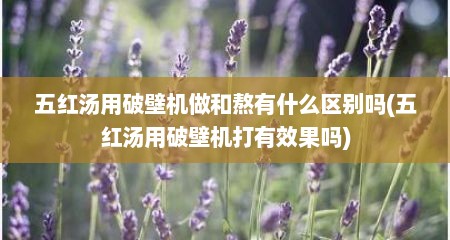 五红汤用破壁机做和熬有什么区别吗(五红汤用破壁机打有效果吗)